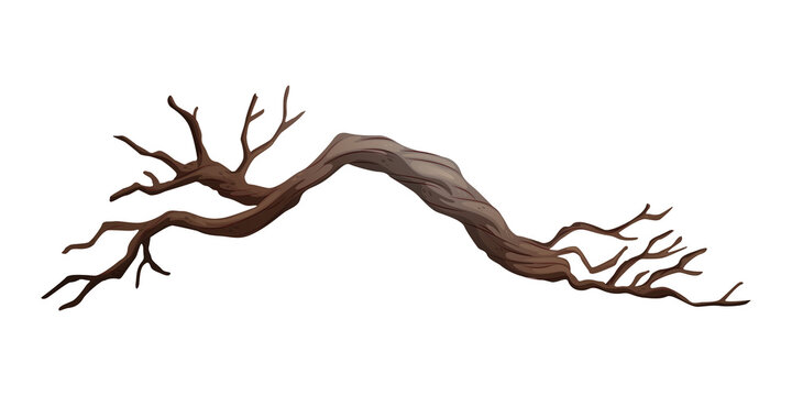 Dead Tree Branch Isolated PNG. dry wood branch, natural twig clipart, forest element transparent background