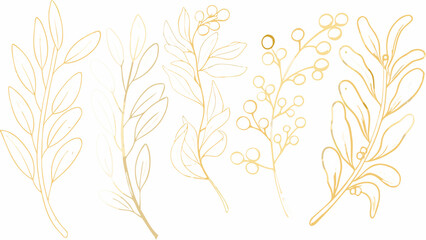 Golden botanical line art illustration featuring various leaf and berry branch depictions on a white background drawing foliage plant life flora © Rabindrabath