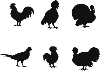 Poultry silhouettes on a white background black avian shapes © Juyel