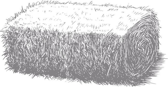 A detailed hand-drawn of a large cylindrical hay bale isolated on a plain white background for