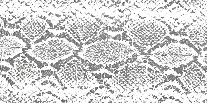 Monochrome snake skin print pattern texture with distressed scale details