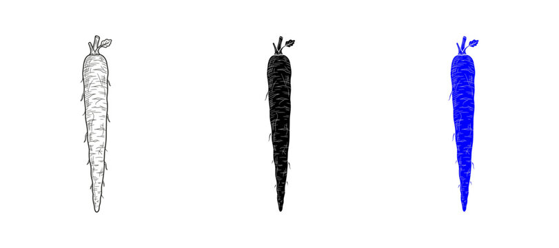 burdock root