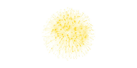 Obraz premium Isolated Yellow Dandelion Seed Head Exploding in a Burst of Fluff on White Background