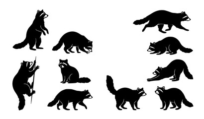 Minimal Black Raccoon Silhouette Collection with Dynamic Wildlife Animal Vector Poses © Tanjimul