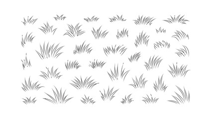 Set of grass silhouettes isolated on a transparent background, design elements for meadow. © Sara Studio