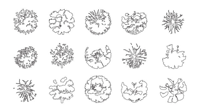 Collection of hand drawn tree top view symbols for architectural site plans and mapping.