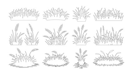 Detailed hand drawn grass and grain plant sketches collection set on transparent background. © Sara Studio
