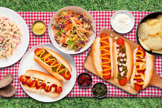 Summer outdoor BBQ scene with hot dogs, classic salads and snacks. Overhead view over a red and white check cloth and grass background.