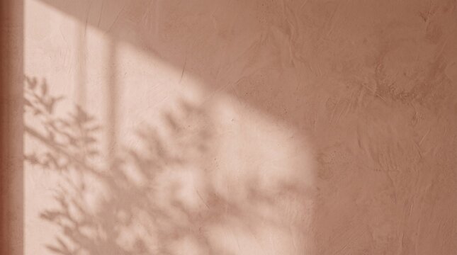 Textured pink plaster wall with soft plant shadow and sunlight