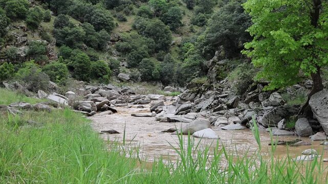 Scenic Canyon Landscape in Taşyaran Valley, Turkey
