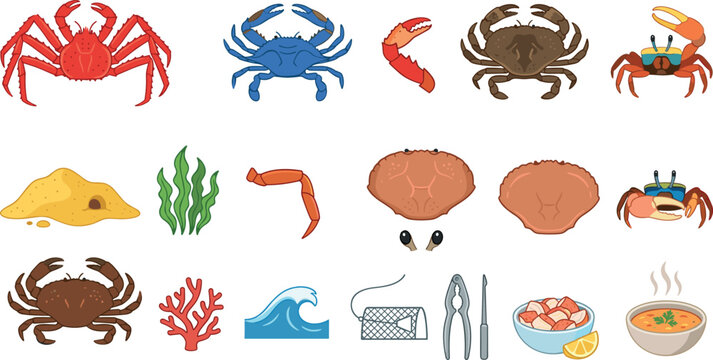 Crab Seafood Illustration Collection Featuring King Crab, Blue Crab, Dungeness Crab, Fiddler Crab, Ocean Elements, and Marine Cooking Accessories