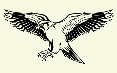 Naklejka premium Black and white eagle bird flying with wings spread out