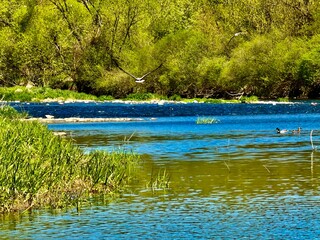 lake in the park © Aneta