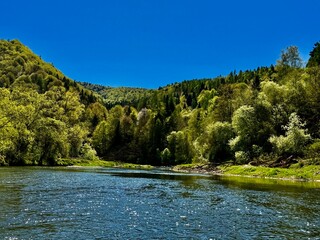 river in the forest © Aneta