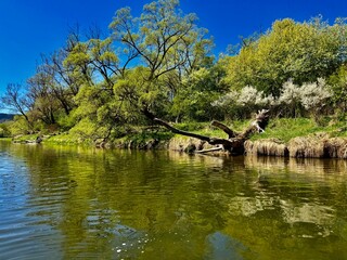 lake in the park © Aneta