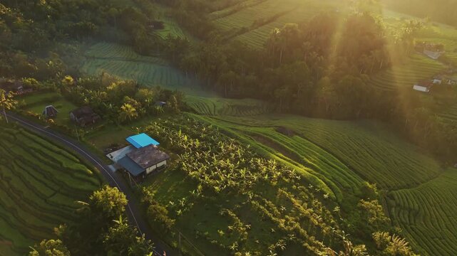 Cinematic aerial view of Belimbing rice terraces at sunrise &ndash; Breathtaking drone shot of golden morning light and mist over emerald green paddy fields in Tabanan, Bali Indonesia landscape 4k