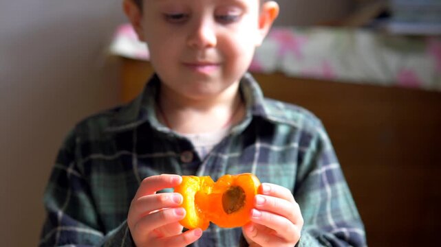 Boy Halving Fresh Apricot Close Up &mdash; Organic Fruit Pit, Healthy Snack Time, Soft Focus Childhood Lifestyle Background