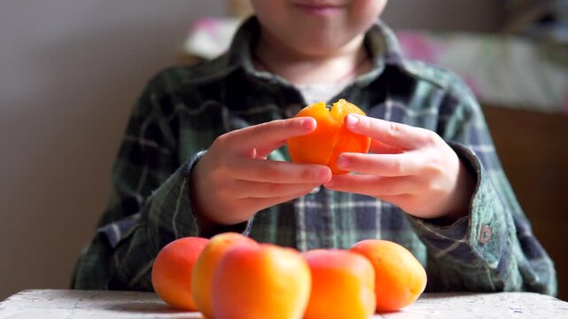 Fresh Organic Apricots Macro &mdash; Shallow Depth of Field, Child Peeling Fruit Background, Healthy Lifestyle Snack Concept