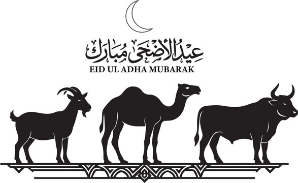 Eid ul adha mubarak greeting with goat camel and cow silhouettes