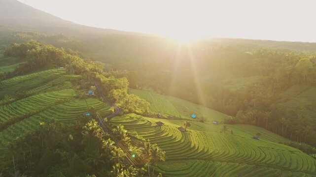 Cinematic aerial view of Belimbing rice terraces at sunrise &ndash; Breathtaking drone shot of golden morning light and mist over emerald green paddy fields in Tabanan, Bali Indonesia landscape 4k