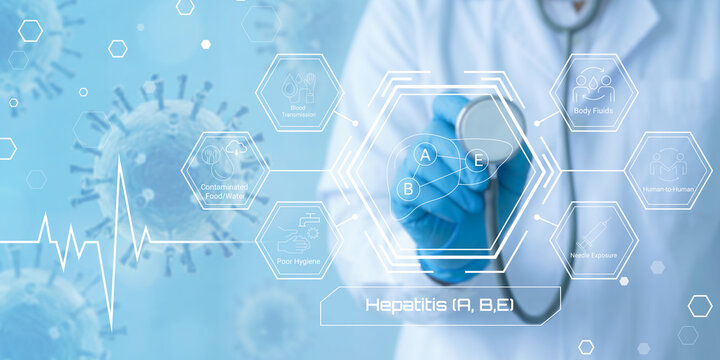 Medical professional analyzing digital information about hepatitis A B E virus types and health factors