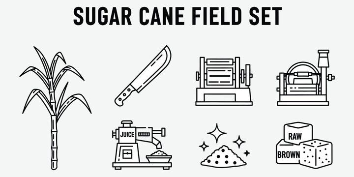 Sugar cane field set with machete juicer and raw sugar cubes vector silhouette