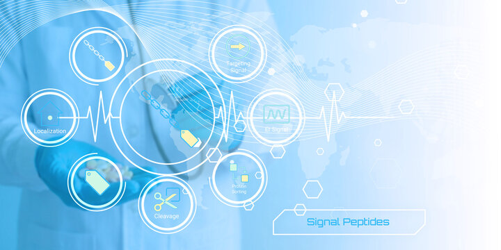 Modern scientific illustration showing signal peptides and related biochemical processes with icons and network connections