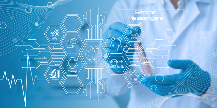 Scientist using digital interface illustrating second messengers and biochemical signaling pathways in modern medical research