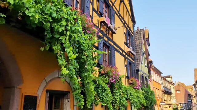 Colorful half-timbered houses adorned with vibrant flowers and greenery line the charming streets of Riquewihr village, showcasing the beauty of Alsace architecture and culture