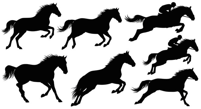 Horse Silhouettes Collection: Galloping, Jumping, Racing with Jockeys