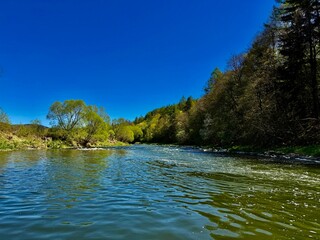 river in the forest © Aneta