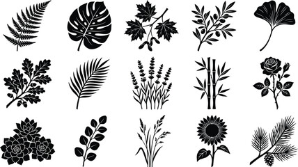 Collection of black silhouettes of various plants and leaves on white background, fern monstera maple leaves © hr graphics