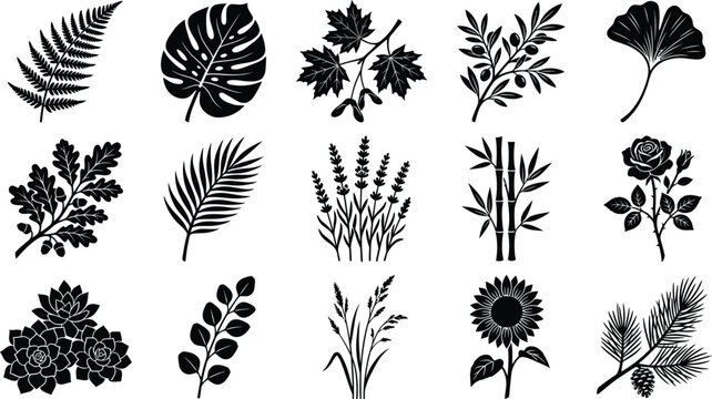 Collection of black silhouettes of various plants and leaves on white background, fern monstera maple leaves
