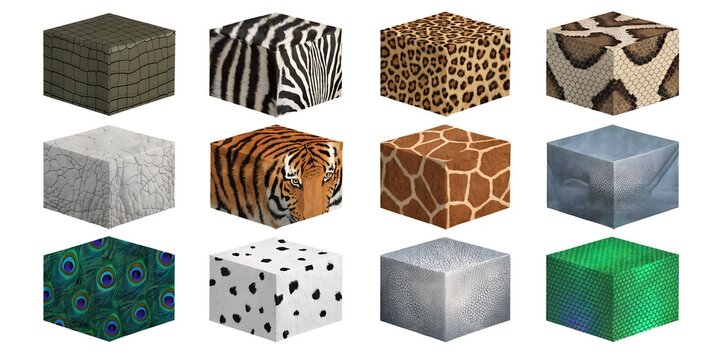 Animal Skin and Hide Texture Collection Displaying Various Wildlife Pattern Surfaces from Reptile Mammal and Marine Species Wrapped on Isometric Blocks on White Background for Design Reference