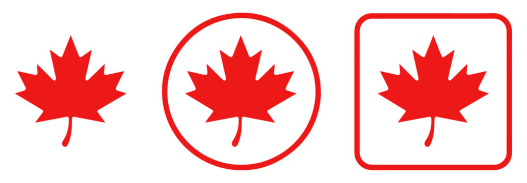 canada maple leaf vector icon