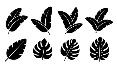 Tropical Leaf Silhouette Collection with Exotic Botanical Foliage and Nature Plant Illustration Set © Shakib