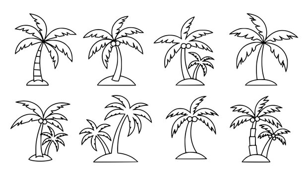 Hand Drawn Palm Tree Collection with Tropical Island Nature and Beach Outline Illustration Elements