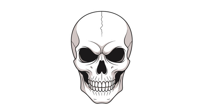 Detailed and realistic illustration of a human skull with deep eye sockets and visible teeth on a clean white background.