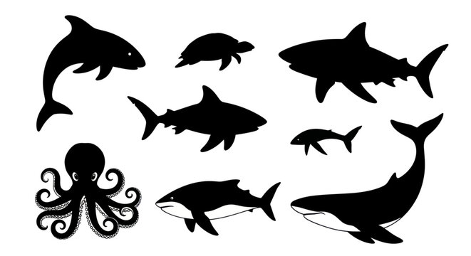 Ocean Wildlife Silhouettes: Dolphin, Sharks, Turtle, Octopus, Whale