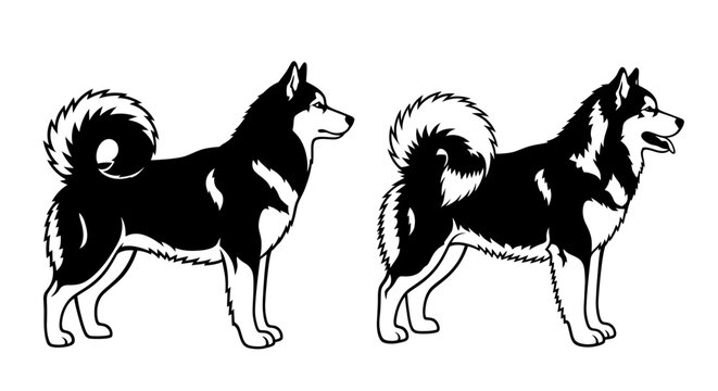 Alaskan Malamute Dog Silhouette Vector Illustration