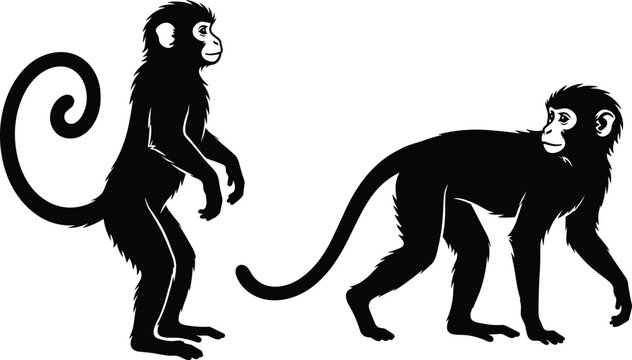 Detailed Black Silhouette Monkey and Primate Vector Set Featuring Two Chimpanzees with Long Tails Standing and Walking for Jungle, Wildlife, and Zoo Designs