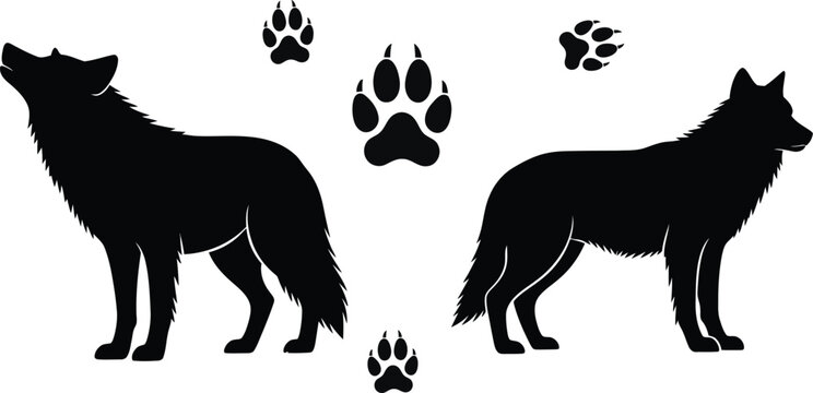 Two wolves and paw prints silhouette vector illustration