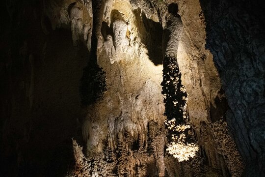 Lion's Tail Speleothem in Carlsbad Caverns