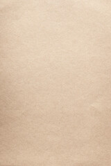 Fototapeta premium Pale brown paper kraft material texture
