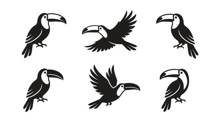 Obraz premium different black toucan silhouettes on a clean white background, minimalist vector style.