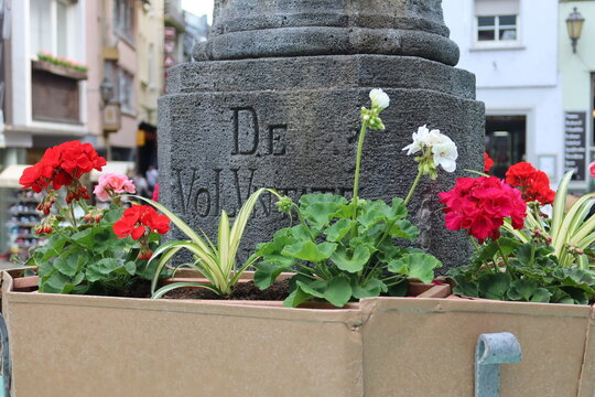 Historic monument with flowers in Cochem, Germany near the Moselle Valley. Traditional European architecture and cultural heritage.