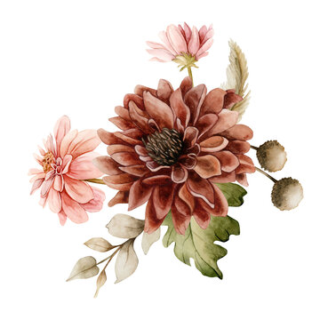 Autumn flowers leaves bouquet. Dahlia Chrysanthemum Astra. Watercolor hand drawn floral illustration isolated on white background fall design wedding home textile cosmetic package porcelain crockery