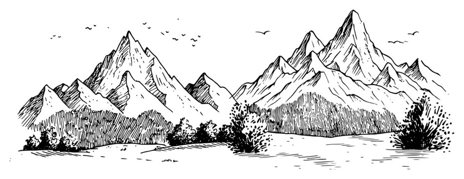 High mountain peaks with pine forest and flying birds in vintage engraving style