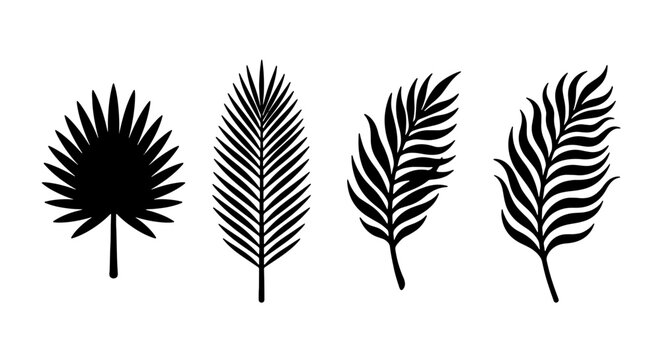 Tropical Palm Leaf Silhouettes, Vector Set of Exotic Foliage Icons, Black and White Botanical Elements for Design