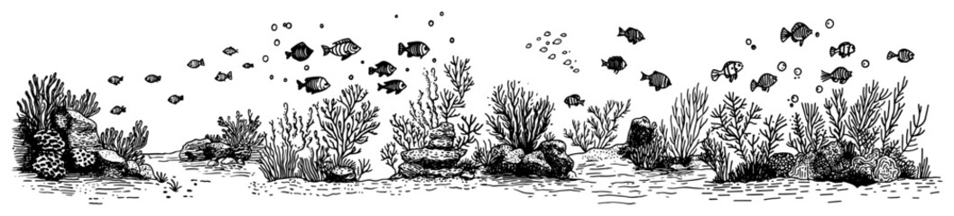 Underwater coral reef with tropical fish and aquatic plants in vintage sketch style © Kaz